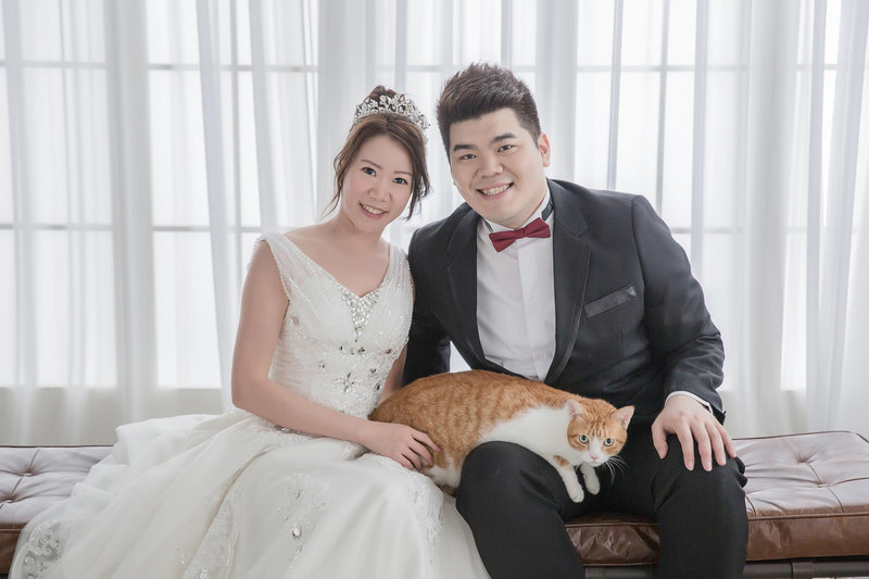 我們與貓的婚紗照