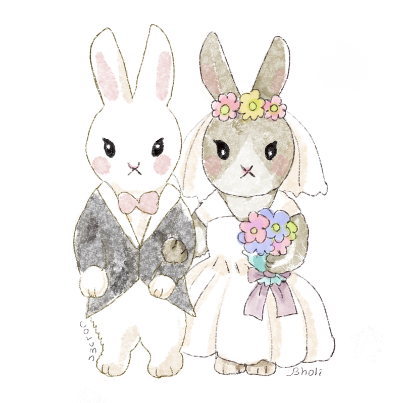 結婚兔 Line 貼圖 - D.meet Studio《結婚吧》
